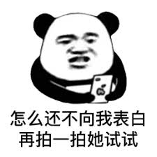 sepak bola asia 2021 Orang tua dan Yang Mulia Xuanqing juga memiliki perasaan yang baik untuk mereka.